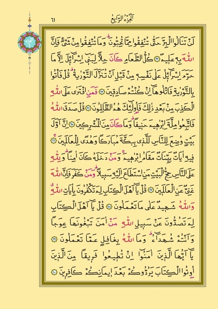 Sayfa 61