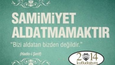 Kutlu Doğum 2014
