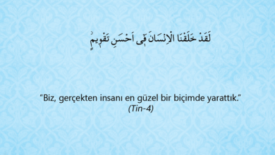 Mükerrem Bir Varlık Olarak İnsan